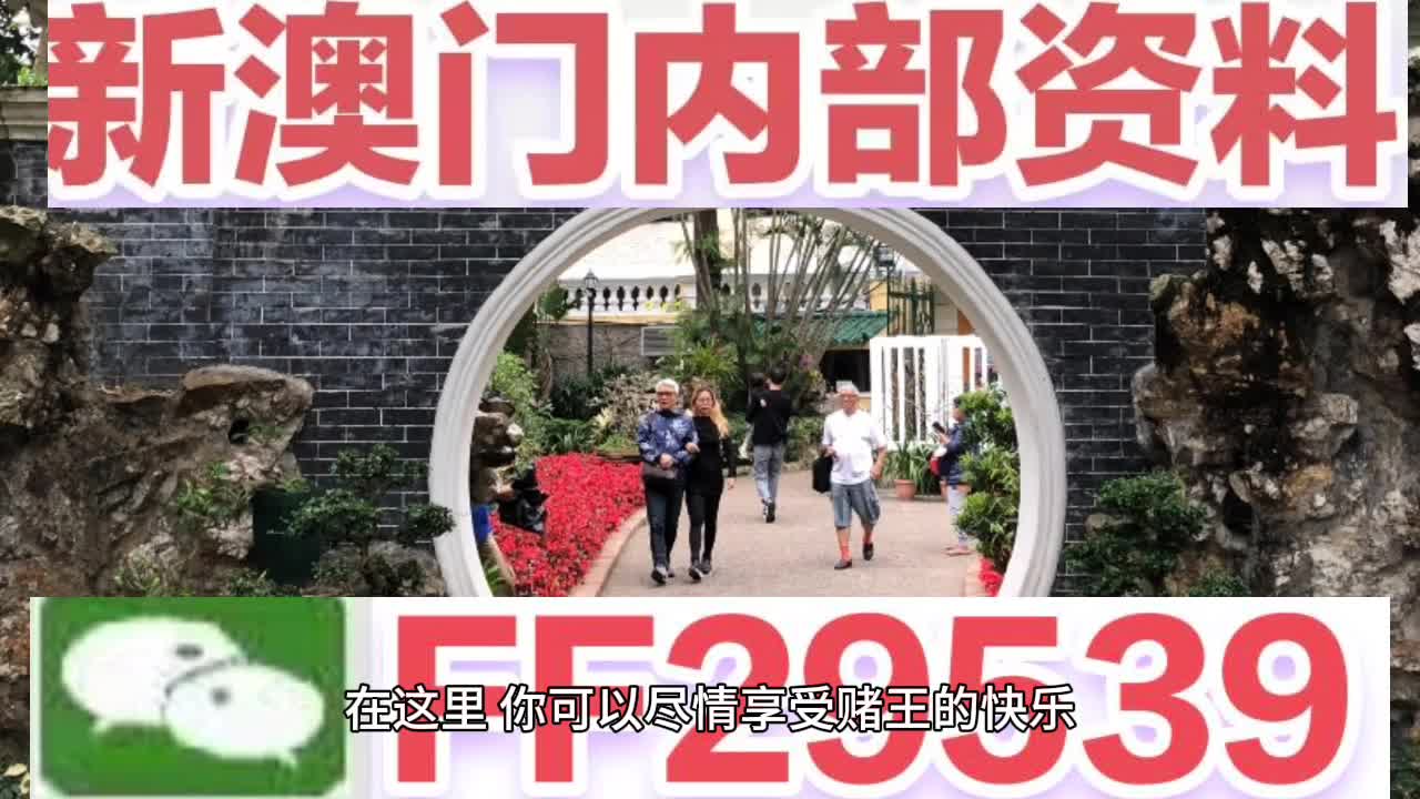 2025新澳门天天精准免费与2025新澳门最精准免费大全详细解答、专家解析解释与落实